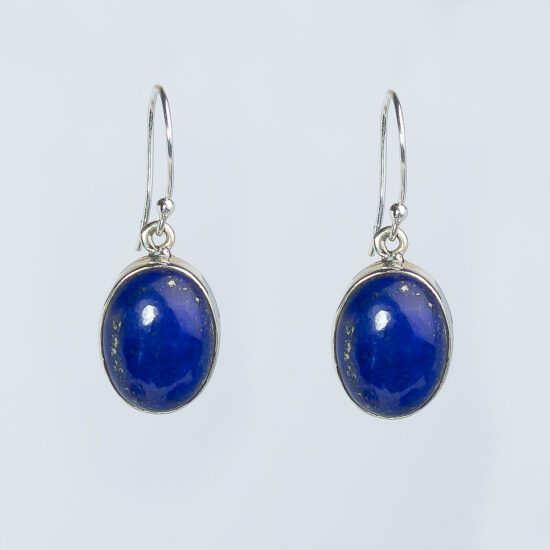 Lapis Lazuli Blues Earrings