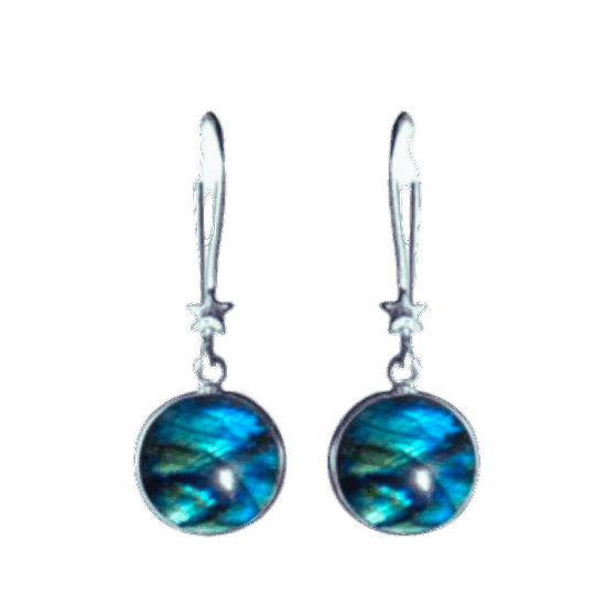 Dancing with the Stars Earrings