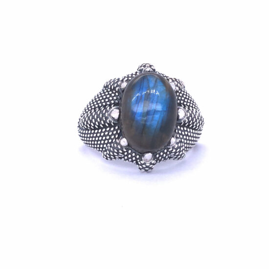 Labradorite Dragon Claw Unisex Ring wholesale jewelry designs that excite