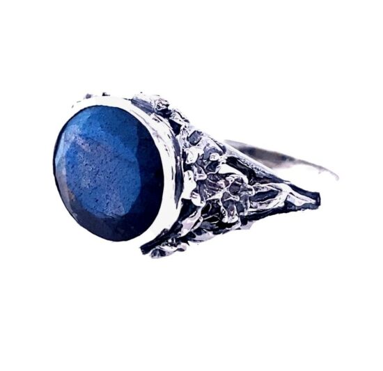 Labradorite East-West Unisex Ring best jewelry suppliers crystal gemstones