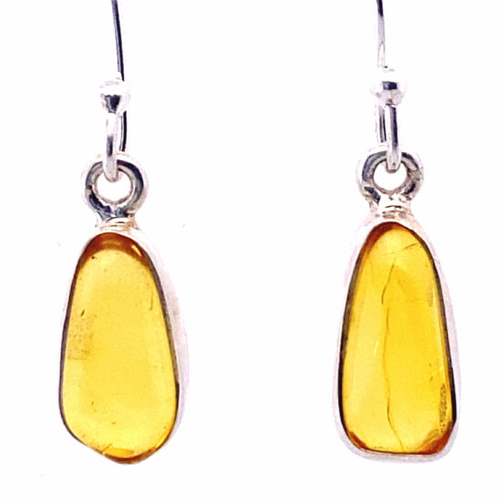 Amber Nectar Droplets Earrings